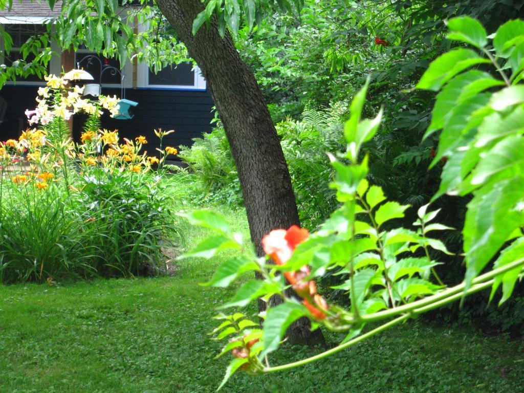 Baldwinsville Bed And Breakfast ภายนอก รูปภาพ