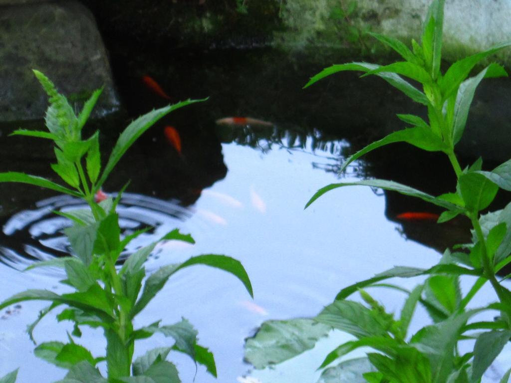 Baldwinsville Bed And Breakfast ภายนอก รูปภาพ
